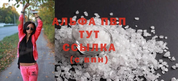 индика Козловка