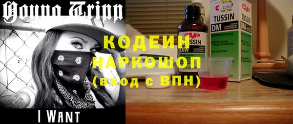 индика Козловка