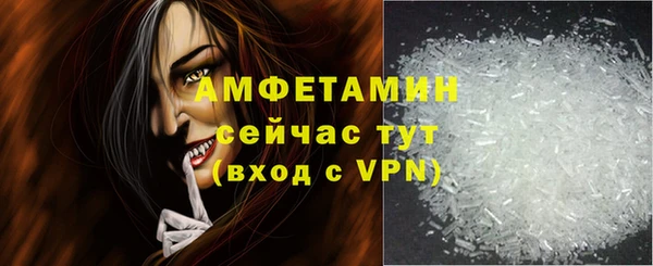 индика Козловка