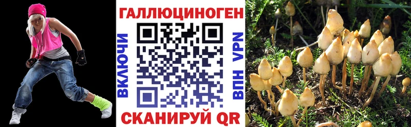 Галлюциногенные грибы Psilocybe  ссылка на мегу ссылки  Клинцы 