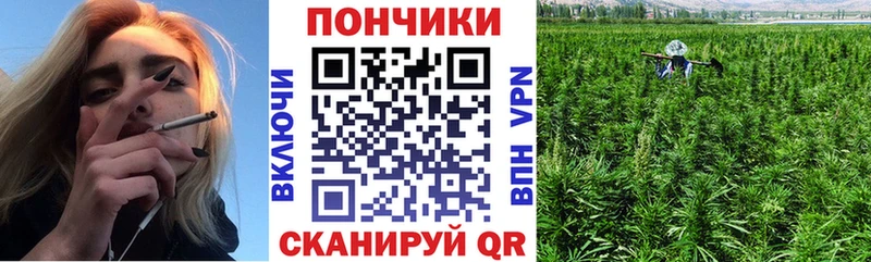 Бошки марихуана OG Kush Клинцы
